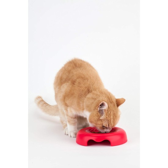 United Pets Kitty Design Plate Bowl for Cats Eco-Friendly, Made in Italy, Grey United Pets Kitty Design Plate Bowl for Cats Eco-Friendly, Made in Italy, Grey