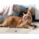 VINILIKO, Waterproof Pet Bowl Mat - All Guests Must Be Approved By My Cat - 48 x 75cm VINILIKO, Waterproof Pet Bowl Mat - All Guests Must Be Approved By My Cat - 48 x 75cm