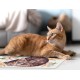 VINILIKO, Waterproof Pet Bowl Mat Sweet Cat 48 x 75 cm