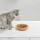 WJUAN Pack of 2 Cat Bowls, Khaki, Silica Gel, Feeding Bowls for Cats, Both Hot and Cold, with Suction Cup on the Bottom, Easy to Clean, Cat Food Bowl, Suitable for Cats, Dogs, Rabbits WJUAN Pack of 2 Cat Bowls, Khaki, Silica Gel, Feeding Bowls for Cats, Both Hot and Cold, with Suction Cup on the Bottom, Easy to Clean, Cat Food Bowl, Suitable for Cats, Dogs, Rabbits