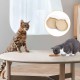 WJUAN Pack of 2 Cat Bowls, Khaki, Silica Gel, Feeding Bowls for Cats, Both Hot and Cold, with Suction Cup on the Bottom, Easy to Clean, Cat Food Bowl, Suitable for Cats, Dogs, Rabbits WJUAN Pack of 2 Cat Bowls, Khaki, Silica Gel, Feeding Bowls for Cats, Both Hot and Cold, with Suction Cup on the Bottom, Easy to Clean, Cat Food Bowl, Suitable for Cats, Dogs, Rabbits