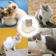 WSAMJIN Automatic Cat Food and Water Dispenser Set, 2-in-1 Gravity Cat Feeder, 1.5 L Water Dispenser and Automatic Feeder Large Cat Feeder for Small Dogs, Puppies, Cats (White) WSAMJIN Automatic Cat Food and Water Dispenser Set, 2-in-1 Gravity Cat Feeder, 1.5 L Water Dispenser and Automatic Feeder Large Cat Feeder for Small Dogs, Puppies, Cats (White)