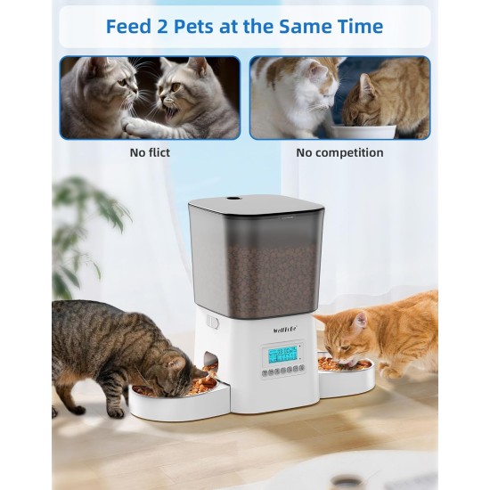 WellToBe Automatic Feeder for 2 Cats, Automatic Feeder for 2 Pets with Desiccant Bag, Pet Feeder with Timer, 6 Meals a Day with Portion Control, Dual Power Supply WellToBe Automatic Feeder for 2 Cats, Automatic Feeder for 2 Pets with Desiccant Bag, Pet Feeder with Timer, 6 Meals a Day with Portion Control, Dual Power Supply