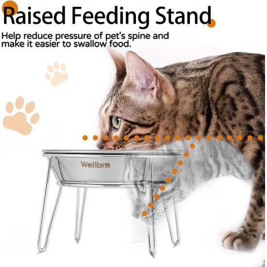 Wellbro Elevated Cat Bowls, Wide Stainless Steel Cat Food Bowls with Metal Stand, Whiskers, Stress Free, Elevated Food and Water Bowl for Cats, Kittens, Puppies and Small Dogs, Pack of 2 Wellbro Elevated Cat Bowls, Wide Stainless Steel Cat Food Bowls with Metal Stand, Whiskers, Stress Free, Elevated Food and Water Bowl for Cats, Kittens, Puppies and Small Dogs, Pack of 2