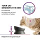 Y YHY Ceramic Cat Bowl Cat Bowl Porcelain with Tilt Design Gift for Cats White