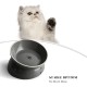 Y YHY Ceramic Cat Bowl Cat Bowl Porcelain with Tilt Design Gift for Cats White