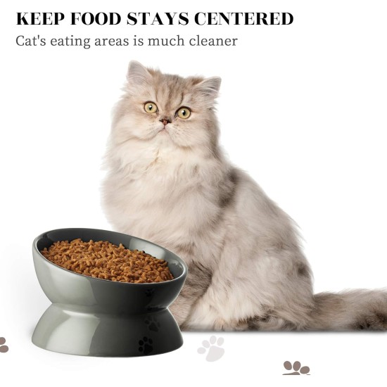 Y YHY Ceramic Cat Bowl Cat Bowl Porcelain with Tilt Design Gift for Cats White Y YHY Ceramic Cat Bowl Cat Bowl Porcelain with Tilt Design Gift for Cats White