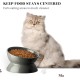Y YHY Ceramic Cat Bowl Cat Bowl Porcelain with Tilt Design Gift for Cats White