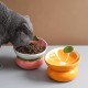 Yeexoxow Raised Cat Bowl, Ceramic Pink Raised Cat Food Bowl for Indoor Cats, Anti Vomiting and Protect Pet's Spine, Cute Tilted Cat Bowl for Flat Cats Yeexoxow Raised Cat Bowl, Ceramic Pink Raised Cat Food Bowl for Indoor Cats, Anti Vomiting and Protect Pet's Spine, Cute Tilted Cat Bowl for Flat Cats
