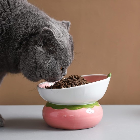 Yeexoxow Raised Cat Bowl, Ceramic Pink Raised Cat Food Bowl for Indoor Cats, Anti Vomiting and Protect Pet's Spine, Cute Tilted Cat Bowl for Flat Cats Yeexoxow Raised Cat Bowl, Ceramic Pink Raised Cat Food Bowl for Indoor Cats, Anti Vomiting and Protect Pet's Spine, Cute Tilted Cat Bowl for Flat Cats