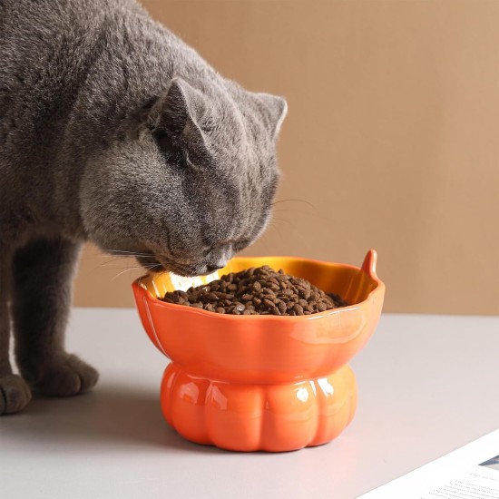 Yeexoxow Raised Cat Bowl, Ceramic Pink Raised Cat Food Bowl for Indoor Cats, Anti Vomiting and Protect Pet's Spine, Cute Tilted Cat Bowl for Flat Cats Yeexoxow Raised Cat Bowl, Ceramic Pink Raised Cat Food Bowl for Indoor Cats, Anti Vomiting and Protect Pet's Spine, Cute Tilted Cat Bowl for Flat Cats