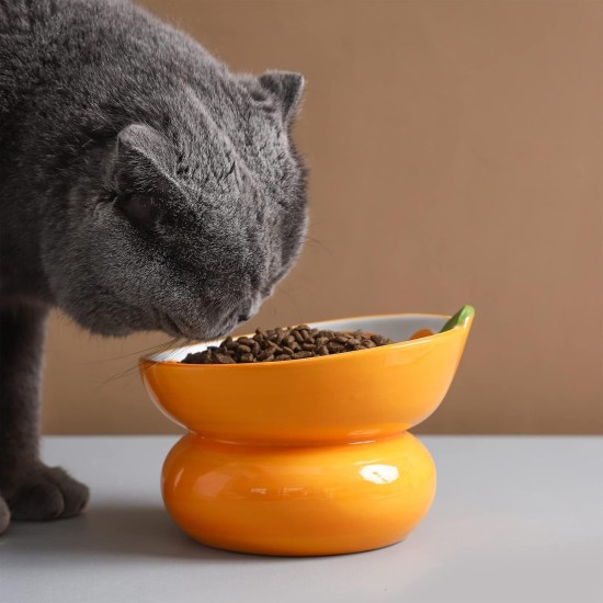 Yeexoxow Raised Cat Bowl, Ceramic Pink Raised Cat Food Bowl for Indoor Cats, Anti Vomiting and Protect Pet's Spine, Cute Tilted Cat Bowl for Flat Cats Yeexoxow Raised Cat Bowl, Ceramic Pink Raised Cat Food Bowl for Indoor Cats, Anti Vomiting and Protect Pet's Spine, Cute Tilted Cat Bowl for Flat Cats