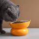 Yeexoxow Raised Cat Bowl, Ceramic Pink Raised Cat Food Bowl for Indoor Cats, Anti Vomiting and Protect Pet's Spine, Cute Tilted Cat Bowl for Flat Cats Yeexoxow Raised Cat Bowl, Ceramic Pink Raised Cat Food Bowl for Indoor Cats, Anti Vomiting and Protect Pet's Spine, Cute Tilted Cat Bowl for Flat Cats