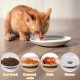 Zeawavsl Ceramic Cat Bowl, Set of 3, Non-Slip Rubber Base Feeding Bowl for Cats, Flat Bowl, Robust Cat Plate, Bowls for Food and Water, Ideal for Cat Lovers Zeawavsl Ceramic Cat Bowl, Set of 3, Non-Slip Rubber Base Feeding Bowl for Cats, Flat Bowl, Robust Cat Plate, Bowls for Food and Water, Ideal for Cat Lovers