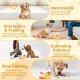 Zikenis Slow Feeder Dog in Duck Shape, Dog Interaction Treats Feeder, Interactive Dog Toy, Intelligence Toy for Dogs with Slow Feeder, for Pet Feeder, Unleash Fun Zikenis Slow Feeder Dog in Duck Shape, Dog Interaction Treats Feeder, Interactive Dog Toy, Intelligence Toy for Dogs with Slow Feeder, for Pet Feeder, Unleash Fun