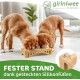 giriniwee Quality Food Bar with Two 400 ml Porcelain Bowls in Bamboo Frame, Raised Double Bowl for Cats, Kittens, Small Dogs, Puppies and Other Small Pets giriniwee Quality Food Bar with Two 400 ml Porcelain Bowls in Bamboo Frame, Raised Double Bowl for Cats, Kittens, Small Dogs, Puppies and Other Small Pets