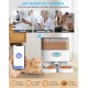 honeyguaridan Automatic Feeder 2 Cats with App, 6L WiFi Cat Food Automatic with 2 Bowls, Time-Controlled, 10s Voice Recording, up to 6 Meals a Day - for Cats and Dogs (Black) honeyguaridan Automatic Feeder 2 Cats with App, 6L WiFi Cat Food Automatic with 2 Bowls, Time-Controlled, 10s Voice Recording, up to 6 Meals a Day - for Cats and Dogs (Black)