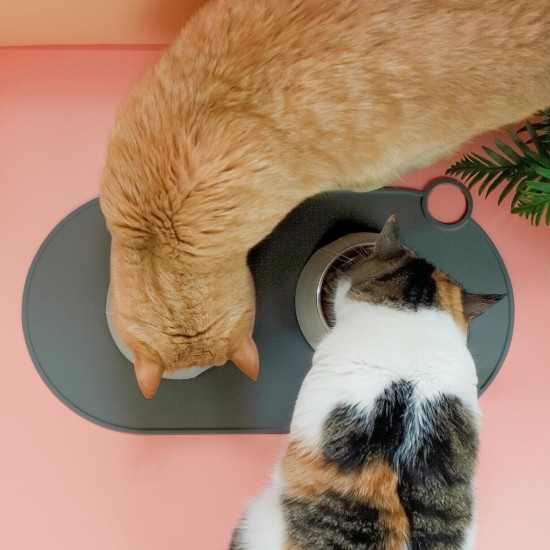 ne&no Silicone Bowl Mat for Cats and Small Dogs Cat Bowl Mat Waterproof Feeding Mat Non-Slip Silicone Mat with Hanging Loop 49 x 25 cm (Lilac) ne&no Silicone Bowl Mat for Cats and Small Dogs Cat Bowl Mat Waterproof Feeding Mat Non-Slip Silicone Mat with Hanging Loop 49 x 25 cm (Lilac)