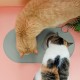ne&no Silicone Bowl Mat for Cats and Small Dogs Cat Bowl Mat Waterproof Feeding Mat Non-Slip Silicone Mat with Hanging Loop 49 x 25 cm (Lilac) ne&no Silicone Bowl Mat for Cats and Small Dogs Cat Bowl Mat Waterproof Feeding Mat Non-Slip Silicone Mat with Hanging Loop 49 x 25 cm (Lilac)