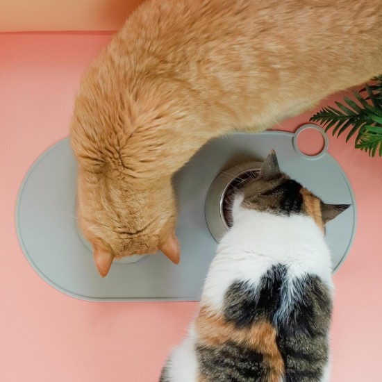 ne&no Silicone Bowl Mat for Cats and Small Dogs Cat Bowl Mat Waterproof Feeding Mat Non-Slip Silicone Mat with Hanging Loop 49 x 25 cm (Lilac) ne&no Silicone Bowl Mat for Cats and Small Dogs Cat Bowl Mat Waterproof Feeding Mat Non-Slip Silicone Mat with Hanging Loop 49 x 25 cm (Lilac)