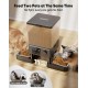 oneisall 5L Automatic Cat Feeder 2 Bowls oneisall 5L Automatic Cat Feeder 2 Bowls