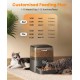 oneisall Automatic Cat Feeder, 3L Cat Food Automatic with 304 Stainless Steel Bowl, 1-6 Meals a Day, Dry Food Dispenser for Cats/Dogs, with Programmable Timer oneisall Automatic Cat Feeder, 3L Cat Food Automatic with 304 Stainless Steel Bowl, 1-6 Meals a Day, Dry Food Dispenser for Cats/Dogs, with Programmable Timer