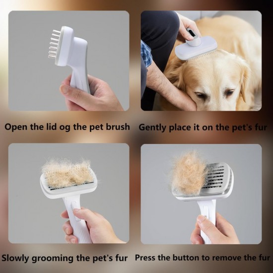AURMOO Dog Brush, Cat Brush, Dog Brush, Pet Brush, Dog Cat Cleaning Brush with 1 Piece Pet Cleaning Towels, Pet Hair Brush for Long Hair and Short Hair, Grey/White AURMOO Dog Brush, Cat Brush, Dog Brush, Pet Brush, Dog Cat Cleaning Brush with 1 Piece Pet Cleaning Towels, Pet Hair Brush for Long Hair and Short Hair, Grey/White