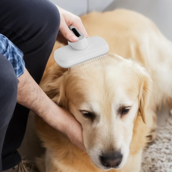 AURMOO Dog Brush, Cat Brush, Dog Brush, Pet Brush, Dog Cat Cleaning Brush with 1 Piece Pet Cleaning Towels, Pet Hair Brush for Long Hair and Short Hair, Grey/White AURMOO Dog Brush, Cat Brush, Dog Brush, Pet Brush, Dog Cat Cleaning Brush with 1 Piece Pet Cleaning Towels, Pet Hair Brush for Long Hair and Short Hair, Grey/White