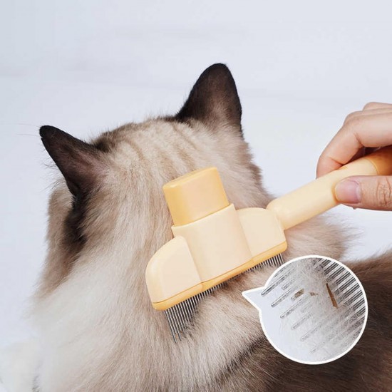 Alriedy 4 Stück Katze Hund Flohkamm, Läusekamm– Premium Katzenkamm & Hundekamm | Doppelseitige Fellblitz-Bürste Mit Edelstahlzinken | Für Lang-/Kurzhaar, Flöhe, Zecken & Haarentfernung Geeignet. Alriedy 4 Stück Katze Hund Flohkamm, Läusekamm– Premium Katzenkamm & Hundekamm | Doppelseitige Fellblitz-Bürste Mit Edelstahlzinken | Für Lang-/Kurzhaar, Flöhe, Zecken & Haarentfernung Geeignet.