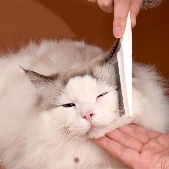 Alriedy 4 Stück Katze Hund Flohkamm, Läusekamm– Premium Katzenkamm & Hundekamm | Doppelseitige Fellblitz-Bürste Mit Edelstahlzinken | Für Lang-/Kurzhaar, Flöhe, Zecken & Haarentfernung Geeignet. Alriedy 4 Stück Katze Hund Flohkamm, Läusekamm– Premium Katzenkamm & Hundekamm | Doppelseitige Fellblitz-Bürste Mit Edelstahlzinken | Für Lang-/Kurzhaar, Flöhe, Zecken & Haarentfernung Geeignet.