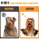 Auveach Cat Brush with Steam 5 in 1 Dog Brush Auveach Cat Brush with Steam 5 in 1 Dog Brush