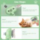 BIRDTOBR Steamy Cat Brush, 3-in-1 Cat Brush with Steam, Multifunctional Cat Spray Massage Comb, Steamy Cat Brush, Eliminate Flying Hair with One Button for Cats and Dogs, White BIRDTOBR Steamy Cat Brush, 3-in-1 Cat Brush with Steam, Multifunctional Cat Spray Massage Comb, Steamy Cat Brush, Eliminate Flying Hair with One Button for Cats and Dogs, White