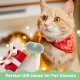 BIRDTOBR Steamy Cat Brush, 3-in-1 Cat Brush with Steam, Multifunctional Cat Spray Massage Comb, Steamy Cat Brush, Eliminate Flying Hair with One Button for Cats and Dogs, White BIRDTOBR Steamy Cat Brush, 3-in-1 Cat Brush with Steam, Multifunctional Cat Spray Massage Comb, Steamy Cat Brush, Eliminate Flying Hair with One Button for Cats and Dogs, White