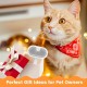 BIRDTOBR Steamy Cat Brush, 3-in-1 Cat Brush with Steam, Multifunctional Cat Spray Massage Comb, Steamy Cat Brush, Eliminate Flying Hair with One Button for Cats and Dogs, White BIRDTOBR Steamy Cat Brush, 3-in-1 Cat Brush with Steam, Multifunctional Cat Spray Massage Comb, Steamy Cat Brush, Eliminate Flying Hair with One Button for Cats and Dogs, White