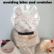 Breathable Bubble Helmet for Cats with Paw Covers, Eye Basket for Cats for Grooming, Mask for Grooming Cats for Kittens for Bathing, Shaving and Claw Cutting Cats Breathable Bubble Helmet for Cats with Paw Covers, Eye Basket for Cats for Grooming, Mask for Grooming Cats for Kittens for Bathing, Shaving and Claw Cutting Cats