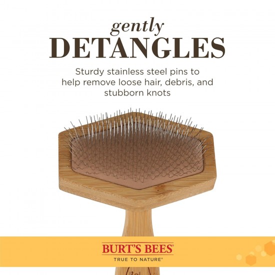 Burt's Bees Slicker Brush for Cats | Cat Brush Removes Loose Fur and Prevents Tangles | Slicker Brush for Cats | Cat Brushes for Grooming | Ideal for Daily Grooming Burt's Bees Slicker Brush for Cats | Cat Brush Removes Loose Fur and Prevents Tangles | Slicker Brush for Cats | Cat Brushes for Grooming | Ideal for Daily Grooming
