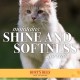 Burt's Bees Slicker Brush for Cats | Cat Brush Removes Loose Fur and Prevents Tangles | Slicker Brush for Cats | Cat Brushes for Grooming | Ideal for Daily Grooming Burt's Bees Slicker Brush for Cats | Cat Brush Removes Loose Fur and Prevents Tangles | Slicker Brush for Cats | Cat Brushes for Grooming | Ideal for Daily Grooming