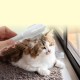 CAPASTEC Haustierbürste, Reinigungsbürste für Katzen und Hunde, Blumenförmige Haustierpflegebürste, Einfache Entfilzungsbürste für Haarmassage drinnen und draußen, Weiß CAPASTEC Haustierbürste, Reinigungsbürste für Katzen und Hunde, Blumenförmige Haustierpflegebürste, Einfache Entfilzungsbürste für Haarmassage drinnen und draußen, Weiß