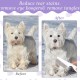 COMNICO Flea Comb for Dogs and Cats, Professional Dog Combs, Pack of 3, Flea Comb, Dog Lice Comb for Pets, Stainless Steel Dog Face Comb, Fine Care Tool for Removing Tear Stains, Fleas COMNICO Flea Comb for Dogs and Cats, Professional Dog Combs, Pack of 3, Flea Comb, Dog Lice Comb for Pets, Stainless Steel Dog Face Comb, Fine Care Tool for Removing Tear Stains, Fleas