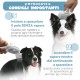 Cat Brush - Cat Steam Brush 3 in 1 - Steam Brush for Dogs - Cat Brush with Steam, Rechargeable with USB Cable MYDOGGYE Cat Brush - Cat Steam Brush 3 in 1 - Steam Brush for Dogs - Cat Brush with Steam, Rechargeable with USB Cable MYDOGGYE