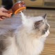 Cat Brush with Steam & Release Button, Rechargeable Steam Brush for Cat Dogs, Spray Pet Hair Brush, Massage Steamer Comb for Long Hair and Short Hair for Removing Loose Fur and Dirt Cat Brush with Steam & Release Button, Rechargeable Steam Brush for Cat Dogs, Spray Pet Hair Brush, Massage Steamer Comb for Long Hair and Short Hair for Removing Loose Fur and Dirt