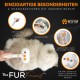 Cat Brush with Steam, 3-in-1 Steam Brush for Cats FurFriend Brush for Pet Hair for Dogs and Cats Cat Brush with Steam, 3-in-1 Steam Brush for Cats FurFriend Brush for Pet Hair for Dogs and Cats