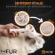 Cat Brush with Steam, 3-in-1 Steam Brush for Cats FurFriend Brush for Pet Hair for Dogs and Cats Cat Brush with Steam, 3-in-1 Steam Brush for Cats FurFriend Brush for Pet Hair for Dogs and Cats