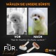 Cat Brush with Steam, 3-in-1 Steam Brush for Cats FurFriend Brush for Pet Hair for Dogs and Cats Cat Brush with Steam, 3-in-1 Steam Brush for Cats FurFriend Brush for Pet Hair for Dogs and Cats