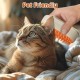 Cat Brush with Steam, 3-in-1 Steamy Brush Cat, Silicone Massage Care Brush for Dandruff, Cat Brush to Reduce Static Flying Hair Cat Brush with Steam, 3-in-1 Steamy Brush Cat, Silicone Massage Care Brush for Dandruff, Cat Brush to Reduce Static Flying Hair