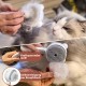 Cat Brush with Steam, Cat Brush with 2 Spray Levels and Release Button, 4-in-1 Hair Removal Spray Massage and One-Touch Self Cleaning, IPX7 Waterproof Steam Brush for Cats Dogs Pets