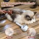 Cat Brush with Steam, Cat Brush with 2 Spray Levels and Release Button, 4-in-1 Hair Removal Spray Massage and One-Touch Self Cleaning, IPX7 Waterproof Steam Brush for Cats Dogs Pets