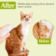 Cat Hair Loss Steamer Rechargeable 3 in 1 Cat Brush Cat Brush with Steam for Long and Short Hair with One Click Cleaning Button Cat Hair Loss Steamer Rechargeable 3 in 1 Cat Brush Cat Brush with Steam for Long and Short Hair with One Click Cleaning Button