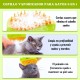 Cat Steam Brush, Dog Brush, 3 in 1 Steam Brush for Cats, Cat Comb, Dog Comb, Pet Hair Removal Comb (Green) Cat Steam Brush, Dog Brush, 3 in 1 Steam Brush for Cats, Cat Comb, Dog Comb, Pet Hair Removal Comb (Green)