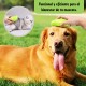 Cat Steam Brush, Dog Brush, 3 in 1 Steam Brush for Cats, Cat Comb, Dog Comb, Pet Hair Removal Comb (Green) Cat Steam Brush, Dog Brush, 3 in 1 Steam Brush for Cats, Cat Comb, Dog Comb, Pet Hair Removal Comb (Green)